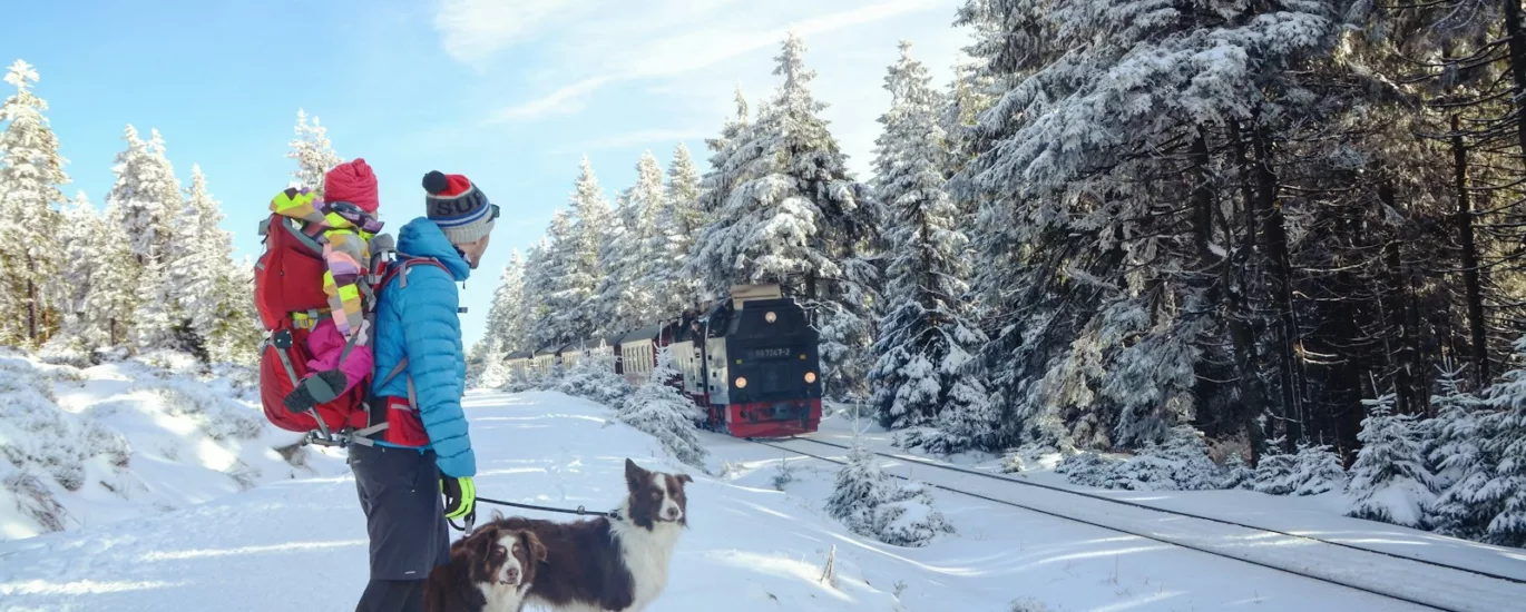 man and dog on snow terrain