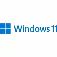 Microsoft Windows Pro 11 64-Bit USB-Stick Vollversion