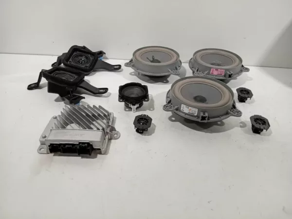 Audio Set BOSE Grand Scénic IV (RFAR) MPV 1.2 TCE 130 16V (H5F-408(H5F-F4)) 2017 (281448840r, 28154eb50a, 281564093r, 280633592R, 281445901R, 281448840r, 281480008R, 28154eb50a, 281564093r)