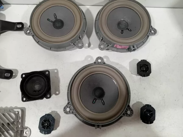 Audio Set BOSE Grand Scénic IV (RFAR) MPV 1.2 TCE 130 16V (H5F-408(H5F-F4)) 2017 (281448840r, 28154eb50a, 281564093r, 280633592R, 281445901R, 281448840r, 281480008R, 28154eb50a, 281564093r)