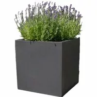 Botanic 70-4 /Stück Lautsprecher anthrazit