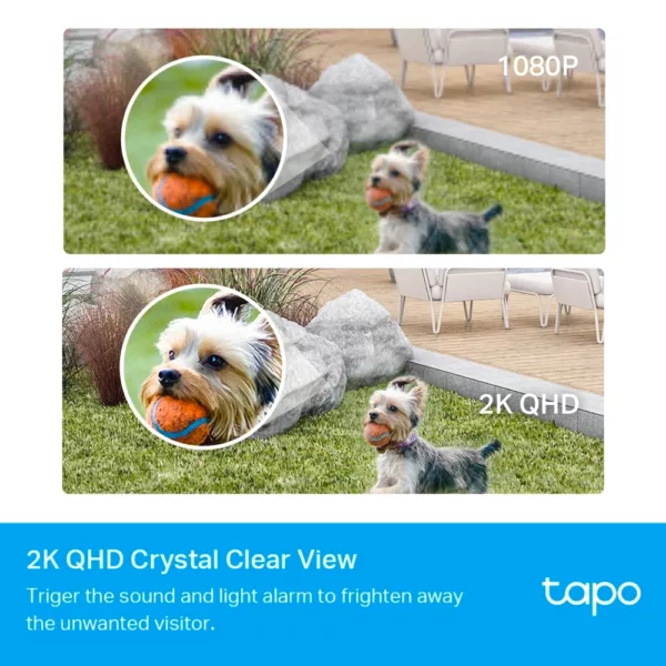TP-Link Überwachungskamera »Tapo C420S2 Smartes 2-Kamera-System«, Außenbereich – Bild 5