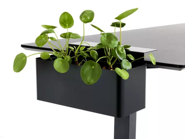 APTO FLOWERBOX Blumenkasten 397x194mm mit Tischklemmen, schwarz