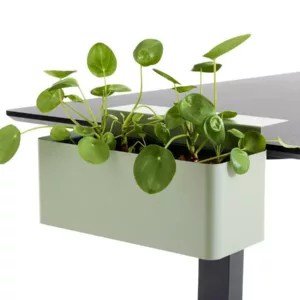 APTO FLOWERBOX Blumenkasten 397x194mm mit Tischklemmen, olivgr?n