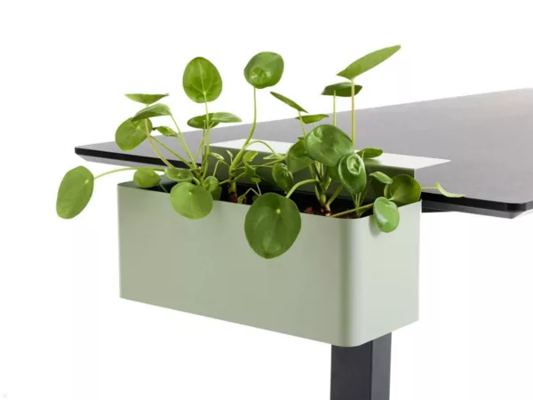 APTO FLOWERBOX Blumenkasten 397x194mm mit Tischklemmen, olivgr?n