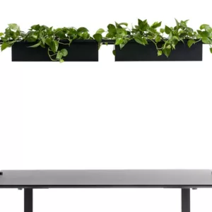APTO Schreibtisch Halterung f?r Blumenk?sten 160x80x2cm mit Tischklemmen, schwar...