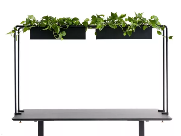 APTO Schreibtisch Halterung f?r Blumenk?sten 160x80x2cm mit Tischklemmen, schwar...