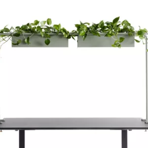 APTO Schreibtisch Halterung f?r Blumenk?sten 160x80x2cm mit Tischklemmen, olivgr...