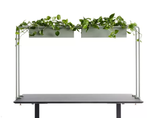 APTO Schreibtisch Halterung f?r Blumenk?sten 160x80x2cm mit Tischklemmen, olivgr...