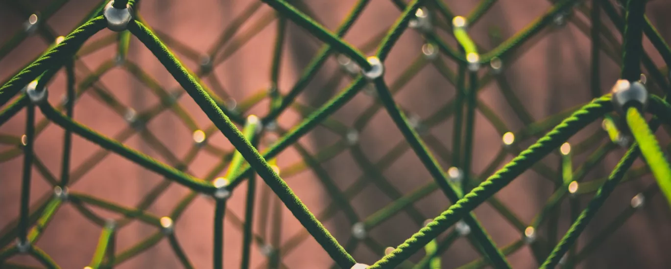 green and black rope
