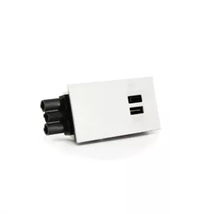 Dataflex Bento Desktop Locker Zubeh?r USB A/C Ladestation 30W (26.100), wei?