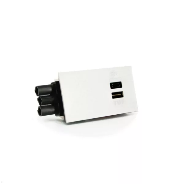 Dataflex Bento Desktop Locker Zubeh?r USB A/C Ladestation 30W (26.100), wei?