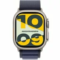 Apple Watch Ultra 2 GPS + Cellular 49mm Titan natur Alpine Loop marine M