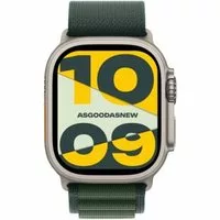 Apple Watch Ultra 2 GPS + Cellular 49mm Titan natur Alpine Loop dunkelgrün M