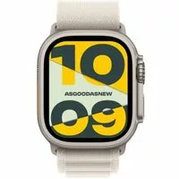 Apple Watch Ultra 2 GPS + Cellular 49mm Titan natur Alpine Loop polarstern L