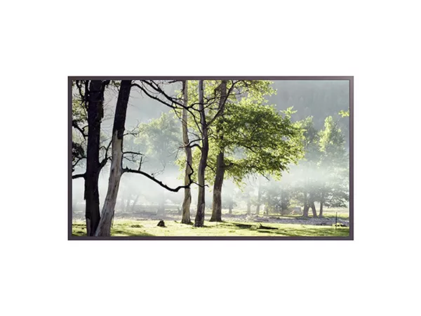 Hyundai D49EMNI Indoor Display Slim 49 Zoll FullHD mit I/R Touch