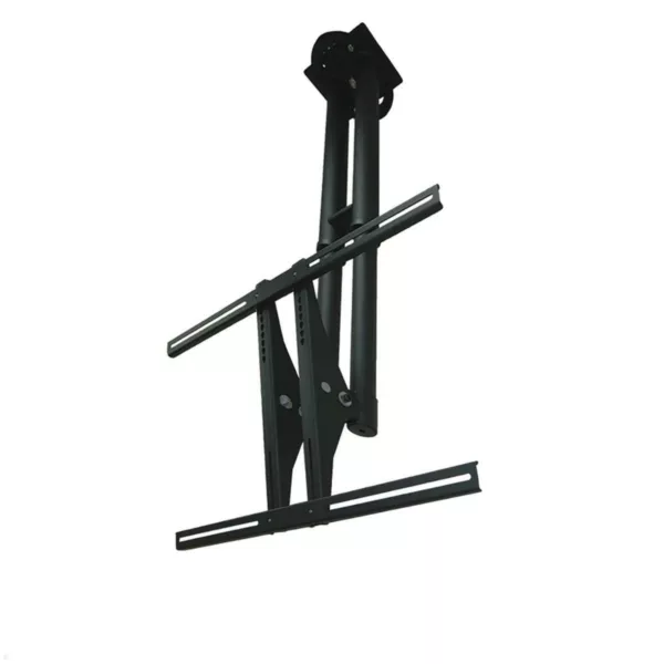 Neomounts PLASMA-C100 schwenkbare TV Deckenhalterung, schwarz