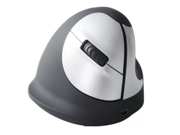 R-Go Tools RGOHEWL Mouse ergonomische Maus M Rechtsh?nder drahtlos