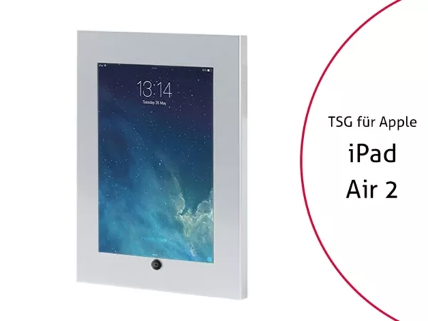 TabLines TSG037S Schutzgeh?use f?r Apple iPad Air 2, HB, silber