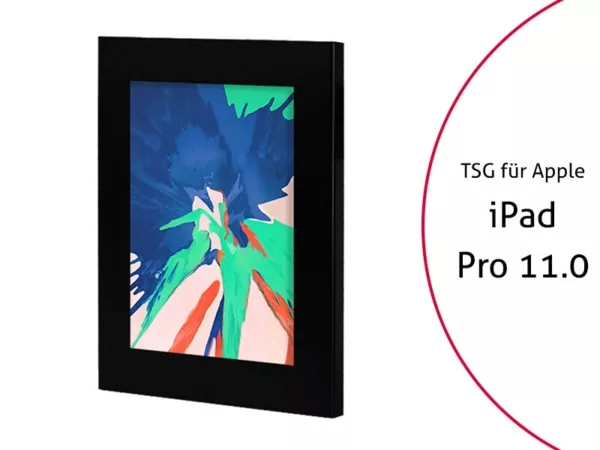 TabLines TSG058B Tablet Schutzgeh?use f?r Apple iPad Pro 11, schwarz