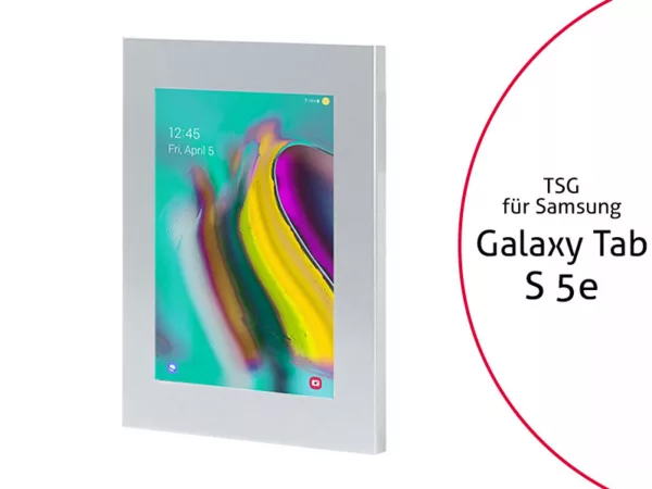 TabLines TSG070S Tablet Schutzgeh?use f?r Samsung Tab S5e, silber