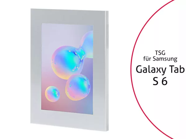 TabLines TSG071S Tablet Schutzgeh?use f?r Samsung Tab S6, silber