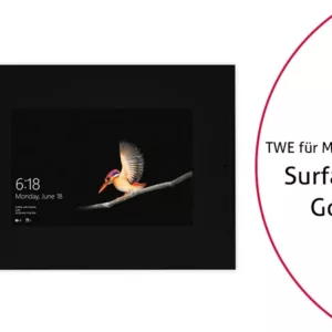 TabLines TWE082B Tablet Wandeinbau f?r Microsoft Surface Go, DS, schwarz