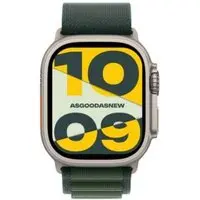 Apple Watch Ultra 2 GPS + Cellular 49mm Titan natur Alpine Loop dunkelgrün L