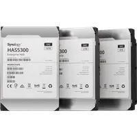 Synology HAS5300 - Festplatte - 12 TB - intern - 3.5 (8.9 cm) - SAS 12Gb/s - 7200 U/min - Puffer: 256 MB - für RackStation RS1619xs+