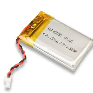 XP Lithium Polymer Akku für XP Funkkopfhörer WSA,WSA2,WSA-XL,WS-6