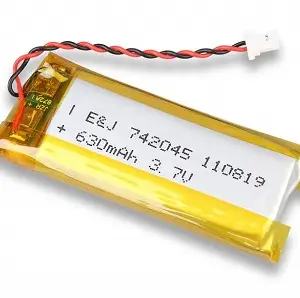 XP Lithium Polymer Akku für WS2, WS3, WS4, WS5, Pinpointer Mi-4, Mi-6. XP Deus 1 / ORX  Fernsteuerung