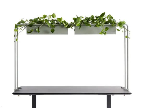 APTO Schreibtisch Halterung f?r Blumenk?sten 160x80x2cm mit Tischklemmen, olivgr...