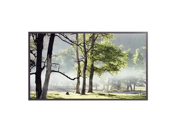 Hyundai D75XMNI Indoor Display Slim 75 Zoll UHD (4K) mit I/R Touch