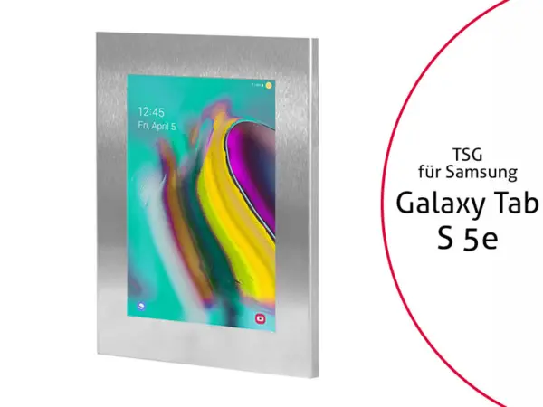 TabLines TSG070E Tablet Schutzgeh?use f?r Samsung Tab S5e, Edelstahl